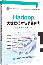 Hadoop大数据技术与项目实战