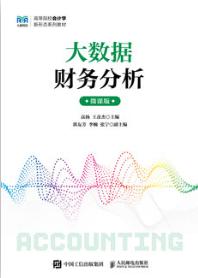 大数据财务分析（微课版）