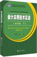会计应用技术实训（活页版  下）