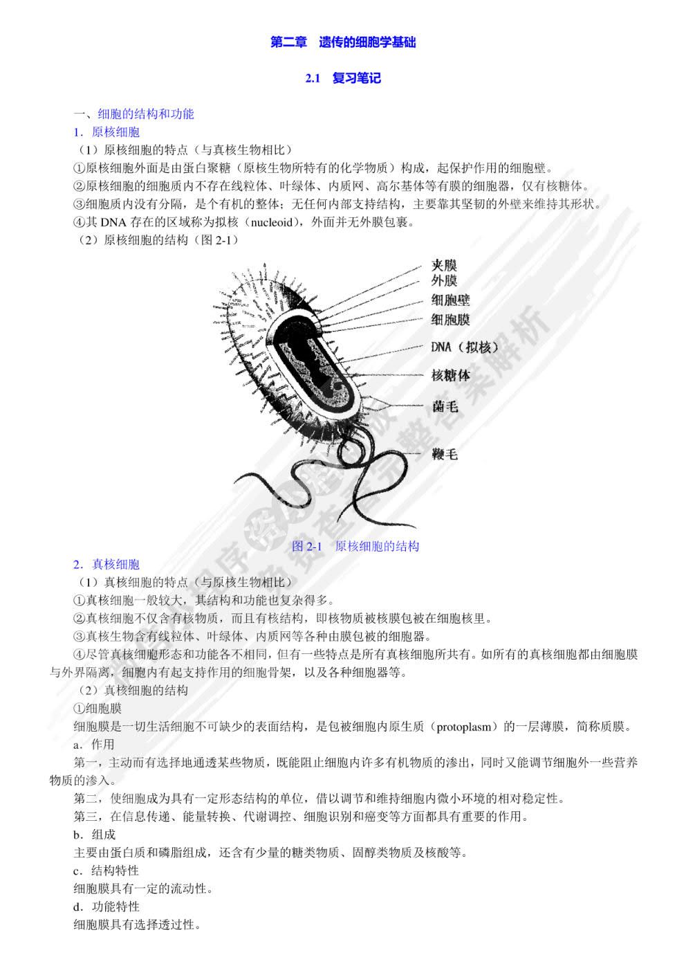 遗传学（第三版）