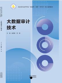 大数据审计技术