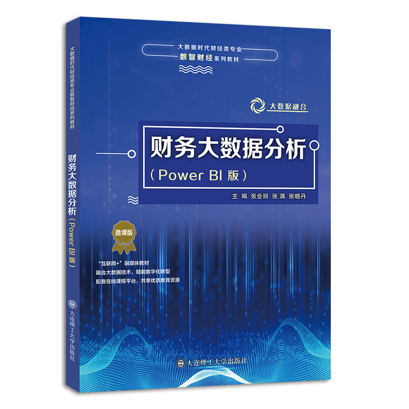 财务大数据分析（Power BI版）