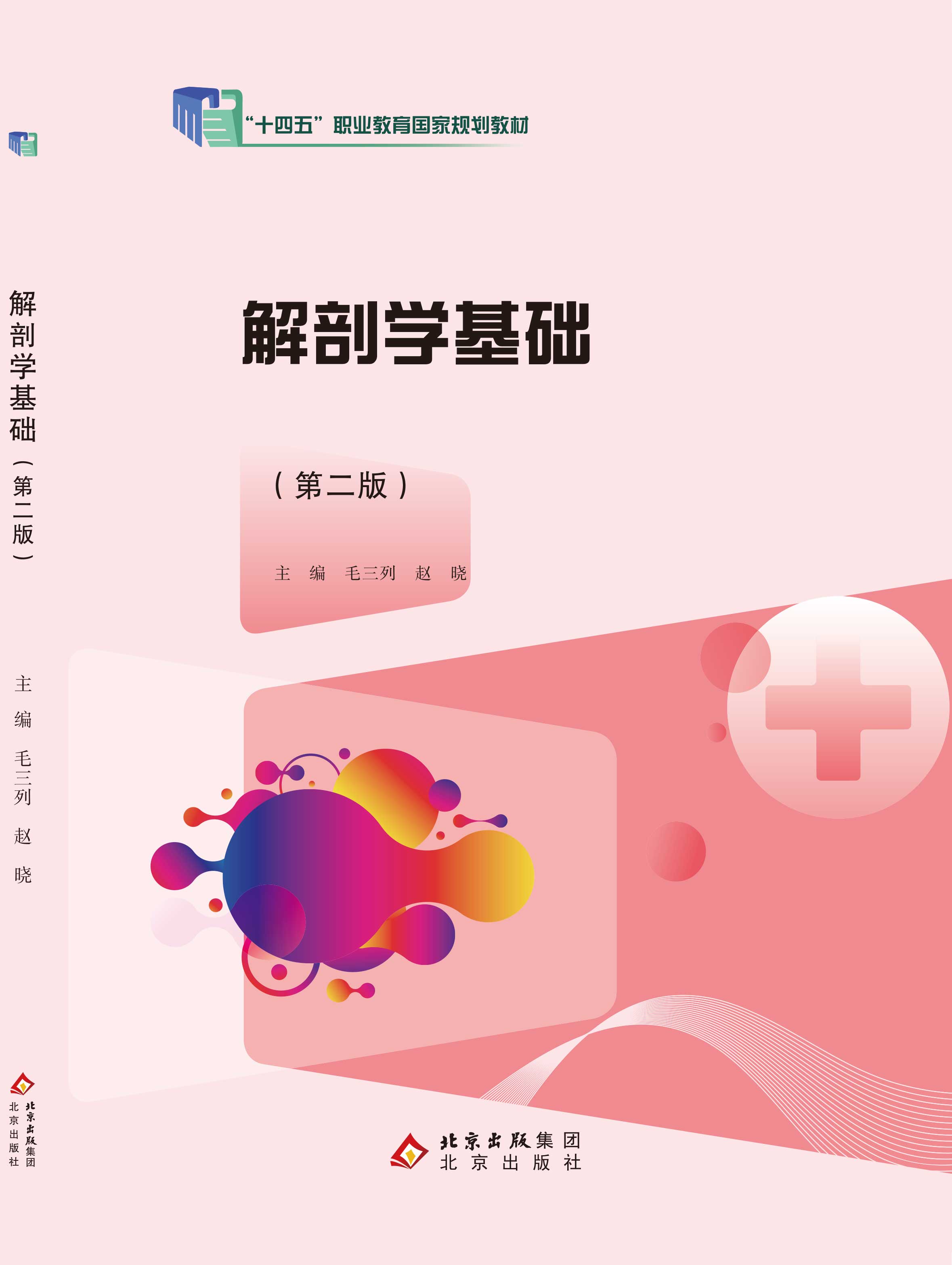 解剖学基础（第二版）