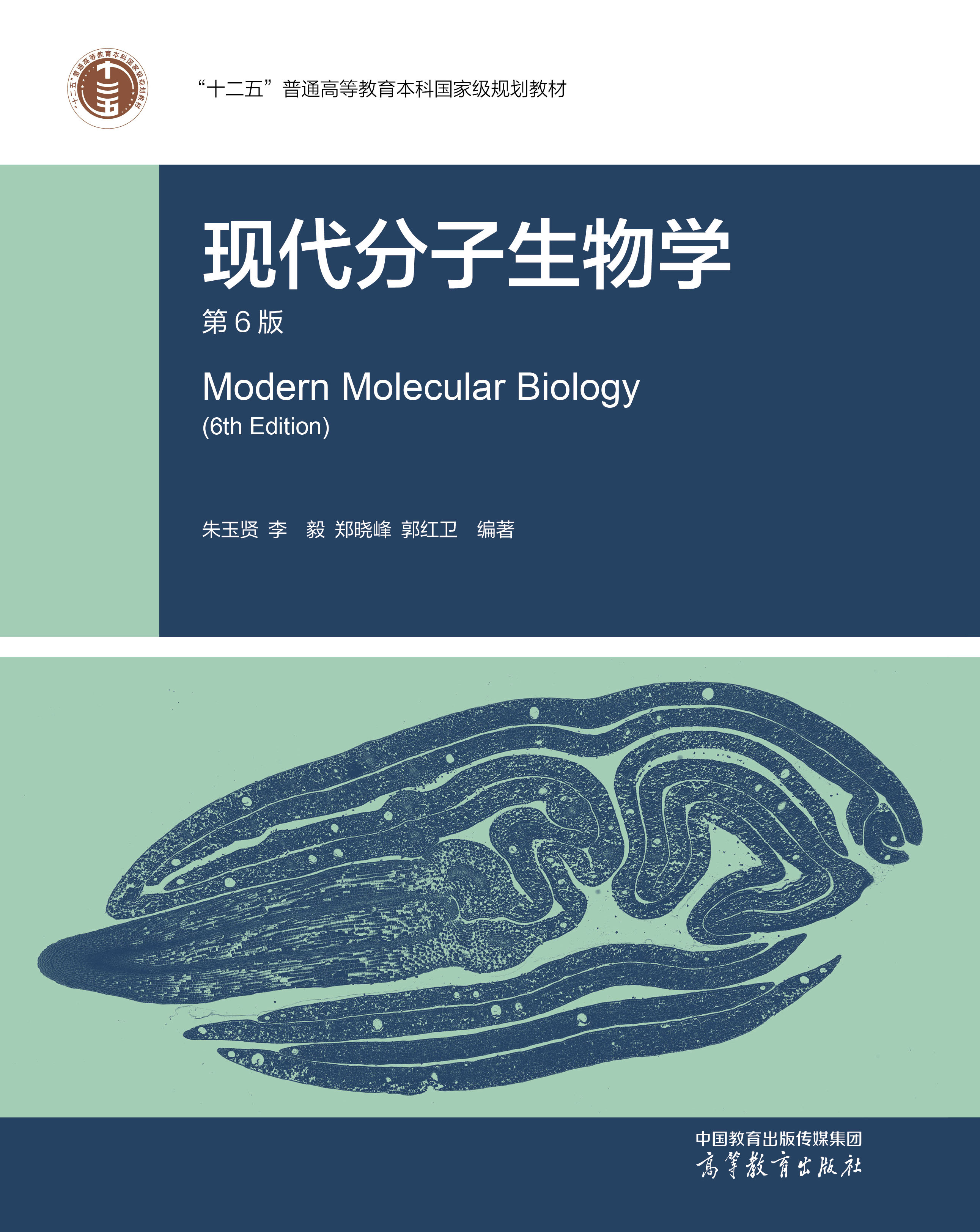 现代分子生物学（第6版）