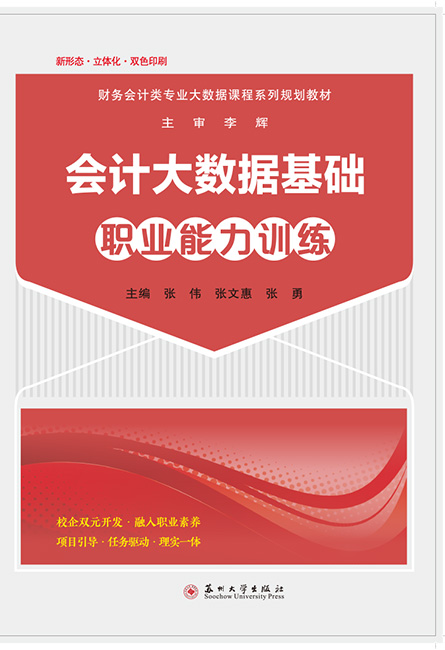 会计大数据基础职业能力训练